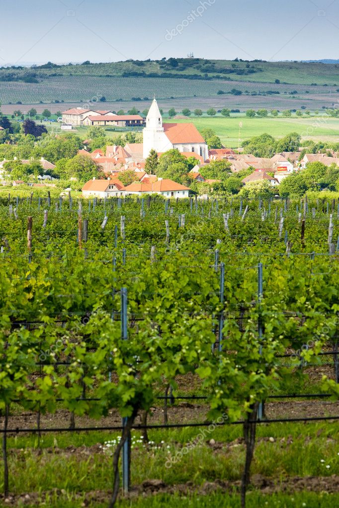 Vinos Austríacos