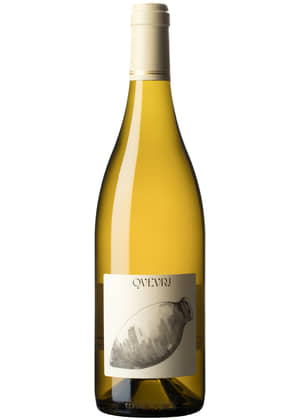 Qvery 2019-sauvignon blanc